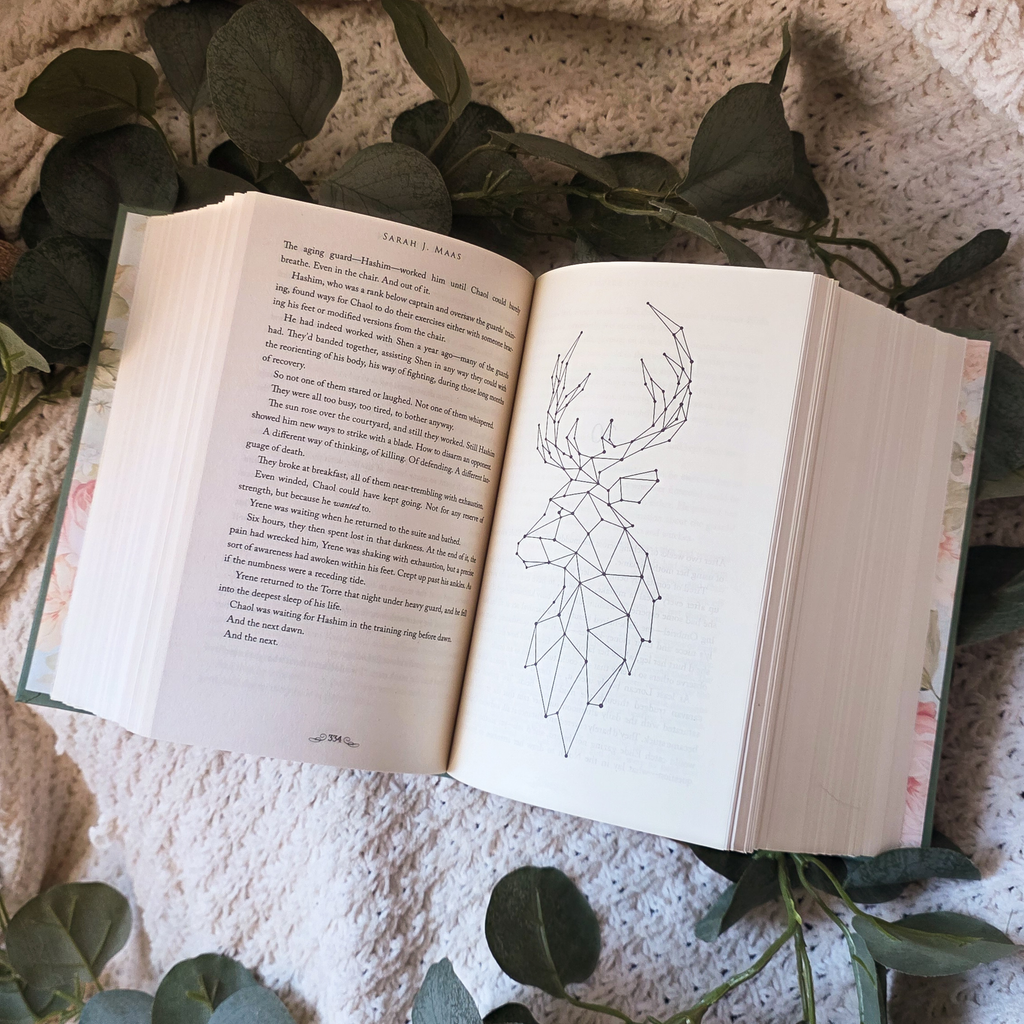Empire of Storms and Tower of Dawn Tandem Read