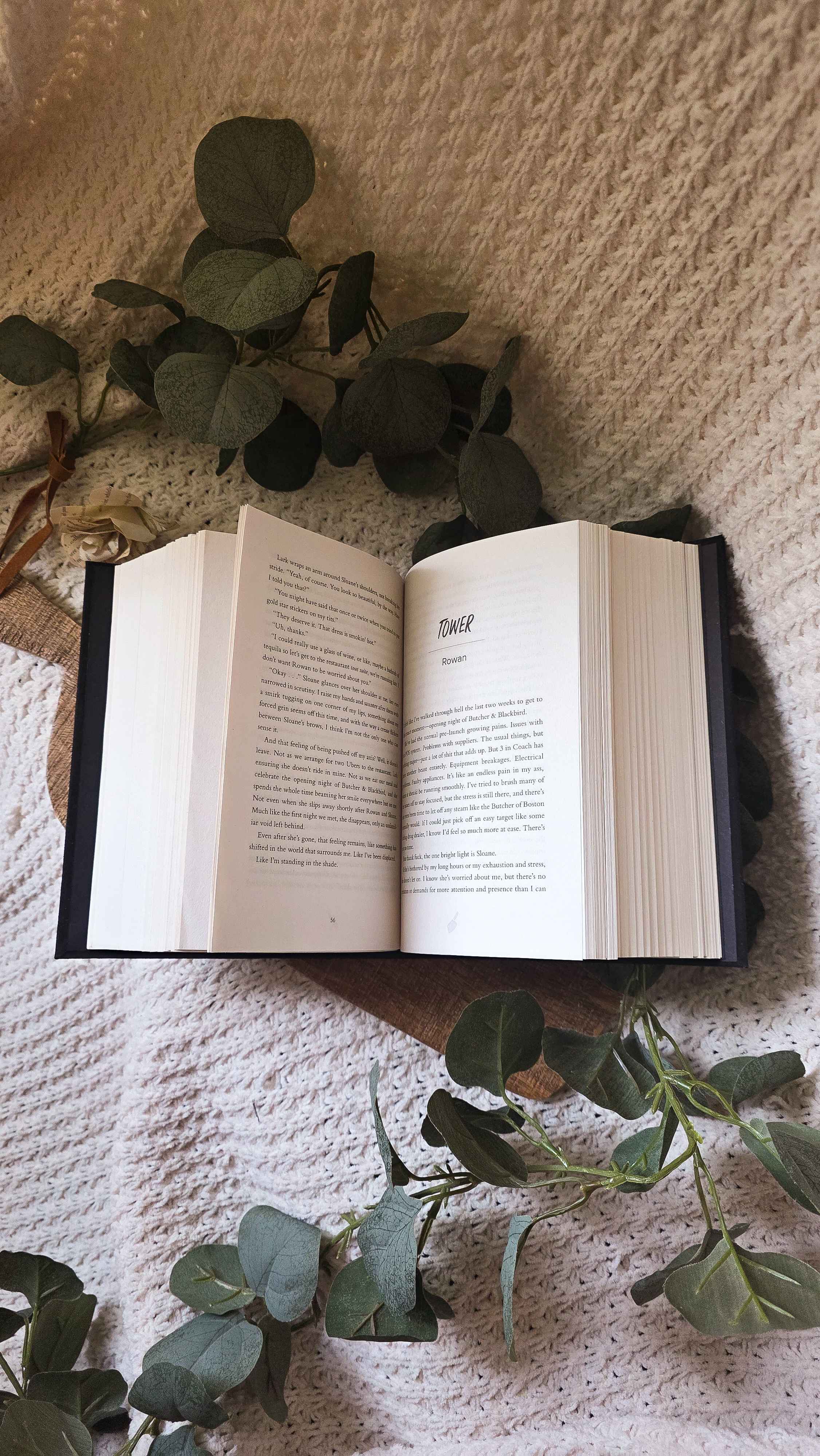 The Ruinous Love Trilogy Tandem Read | Combined Butcher and Blackbird, Leather and Lark, and Scythe and Sparrow